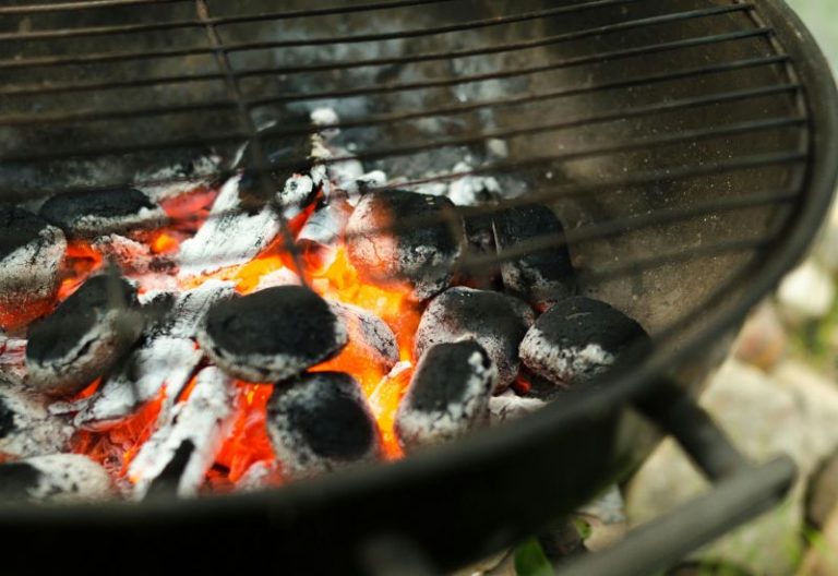 𝗘𝗟 𝗗𝗜́𝗔 𝗤𝗨𝗘 𝗧𝗔𝗥𝗭𝗔́𝗡 𝗔𝗥𝗥𝗨𝗜𝗡Ó 𝗟𝗔 𝗕𝗔𝗥𝗕𝗔𝗖𝗢𝗔